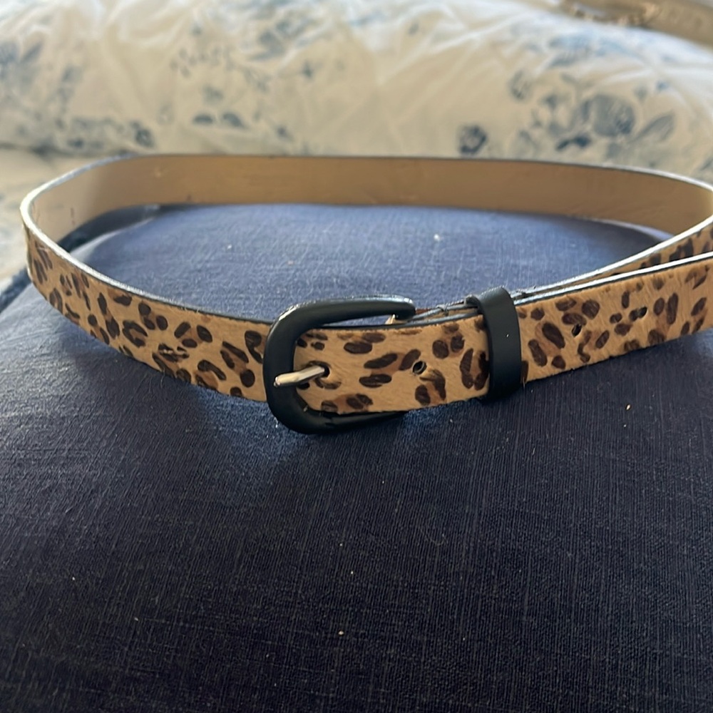 The Limited Belt